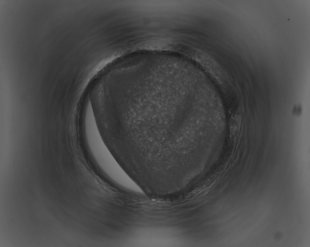 X0000095550727200801041330