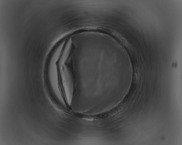 X0000095550728200801041330