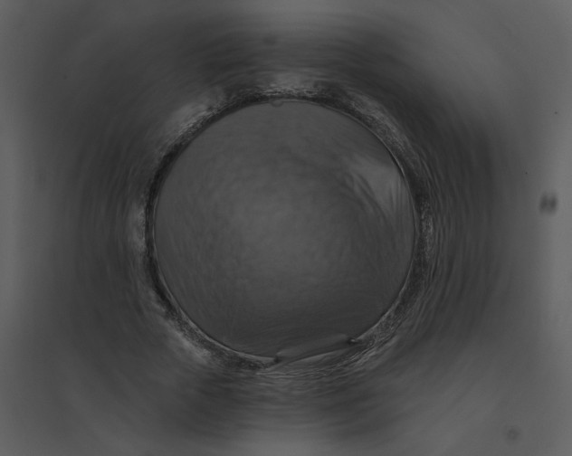 X0000095550729200801041330