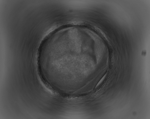 X0000095550730200801041330