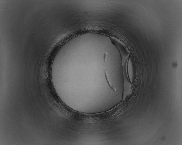 X0000095550731200801041330