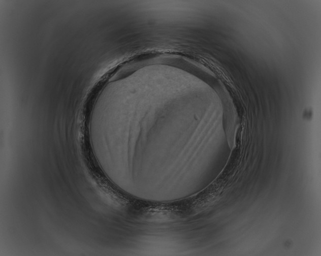 X0000095550732200801041330