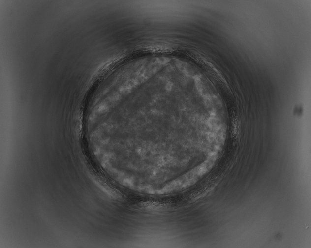 X0000095550733200801041330