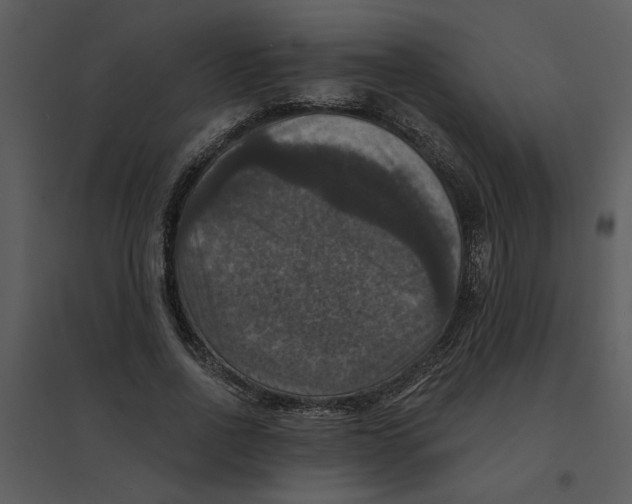 X0000095550734200801041330