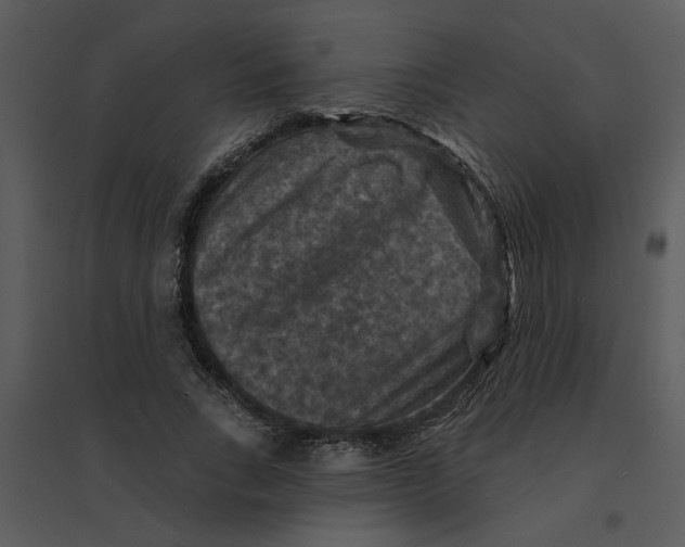 X0000095550735200801041330