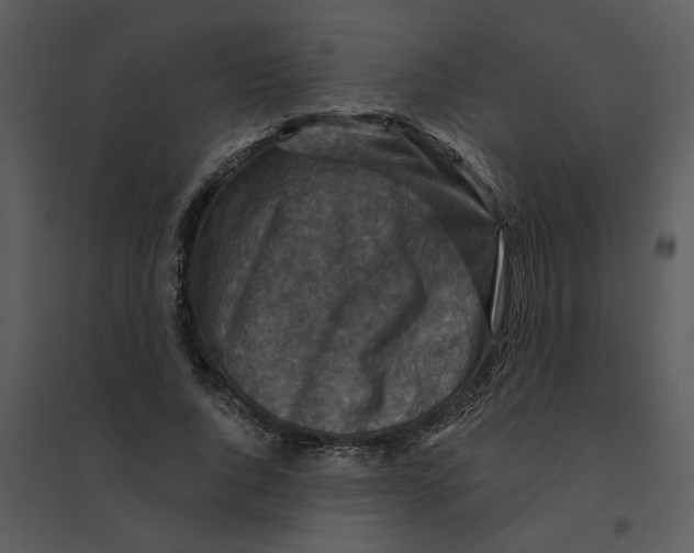 X0000095550736200801041330