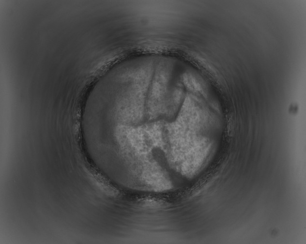 X0000095550737200801041330