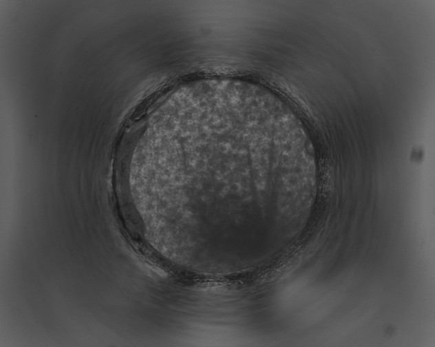 X0000095550738200801041330