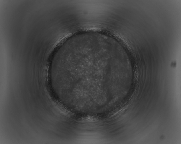 X0000095550739200801041330