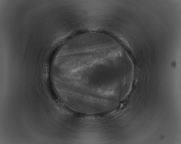 X0000095550740200801041330