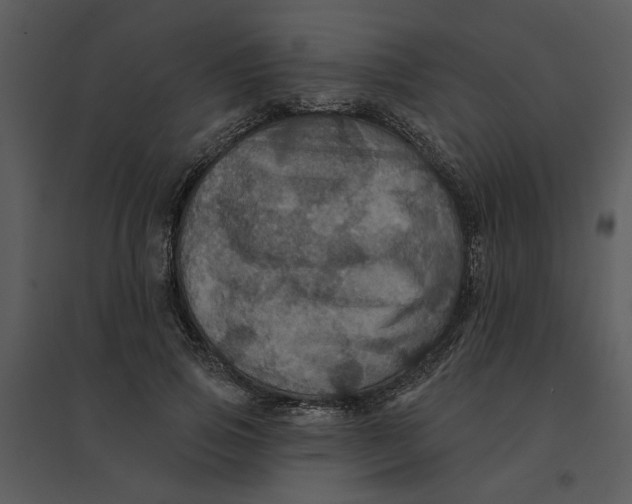 X0000095550741200801041330