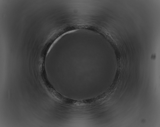 X0000095550742200801041330