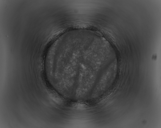 X0000095550743200801041330