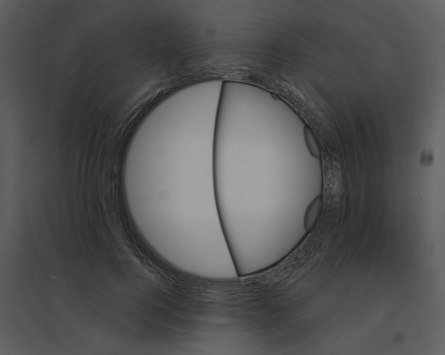 X0000095550744200801041330