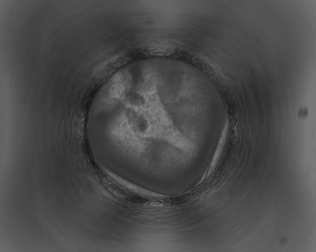 X0000095550745200801041330