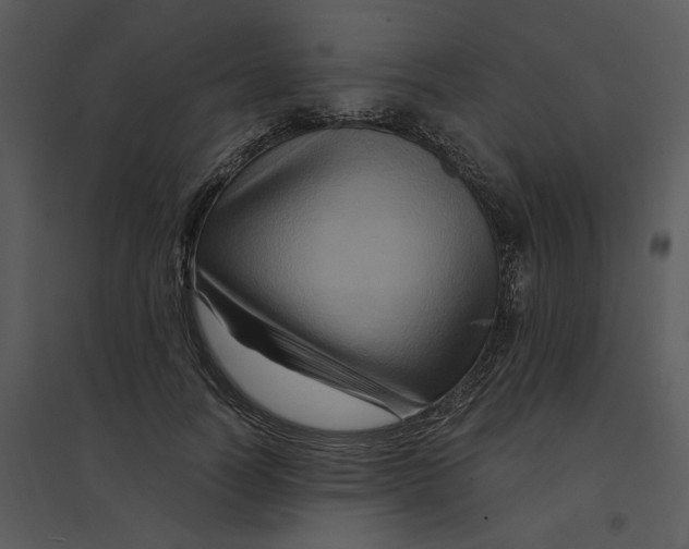 X0000095550746200801041330