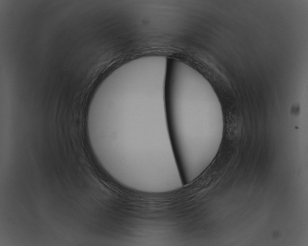 X0000095550748200801041330