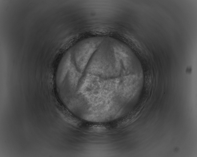 X0000095550749200801041330