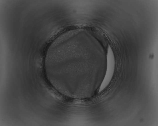 X0000095550750200801041330