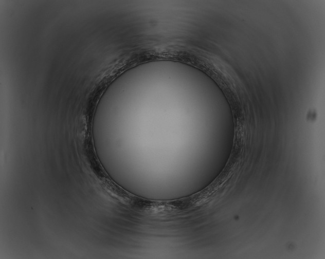 X0000095550752200801041330