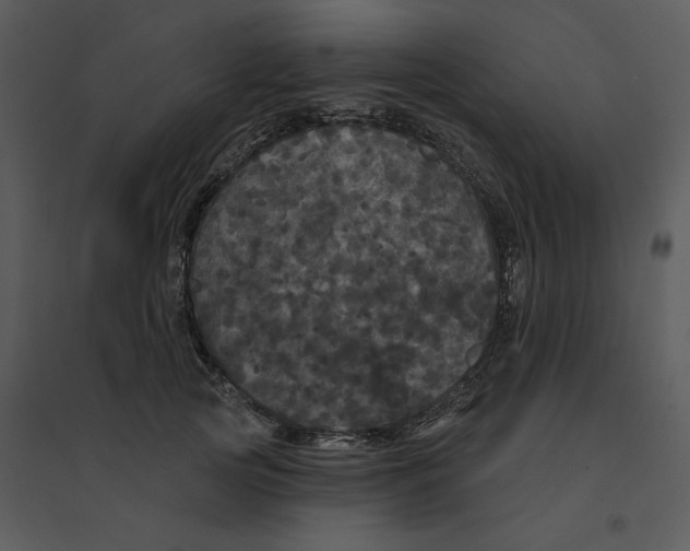 X0000095550753200801041330