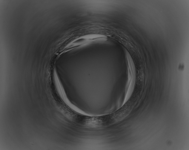 X0000095550754200801041330