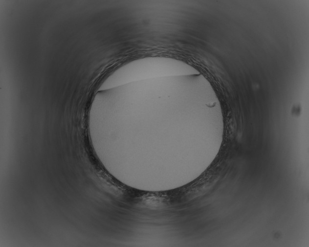 X0000095550756200801041331