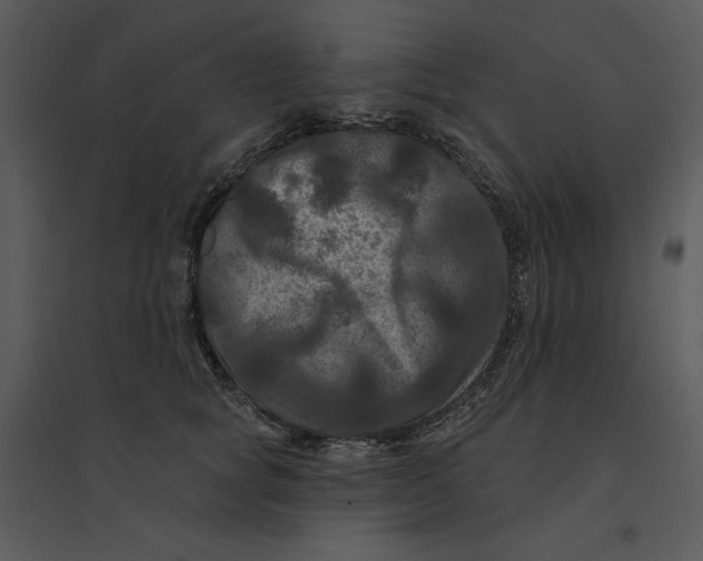 X0000095550757200801041331