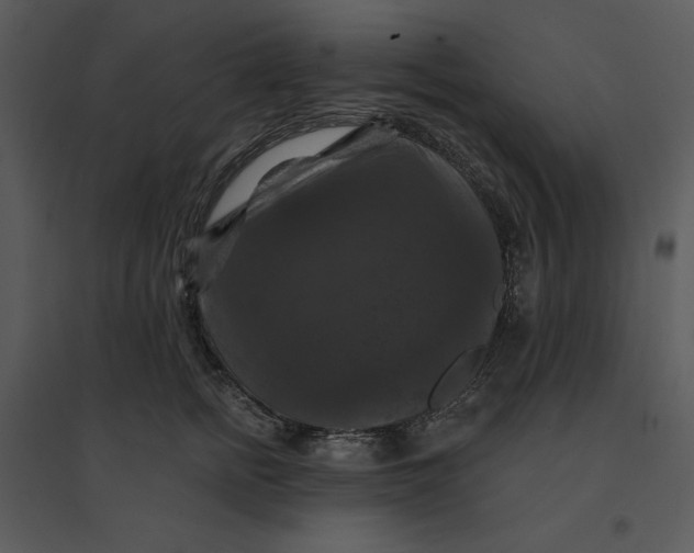 X0000095550758200801041331