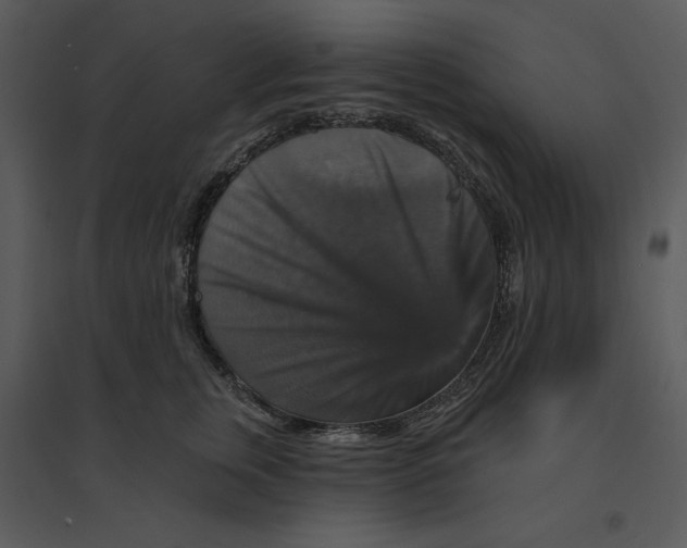 X0000095550759200801041331