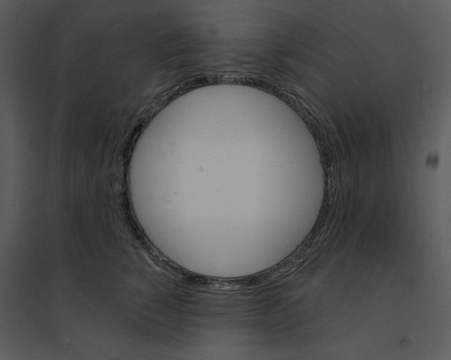 X0000095550760200801041331