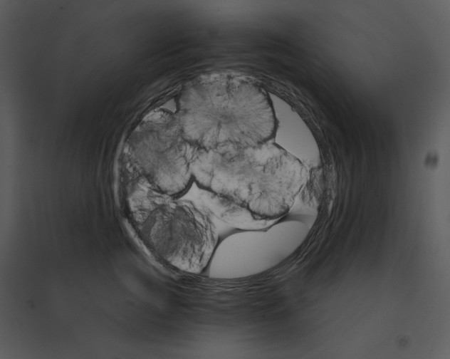 X0000095550761200801041331