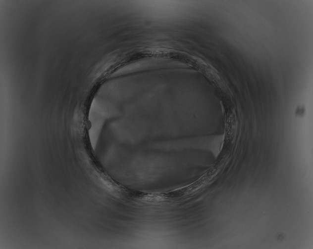 X0000095550762200801041331