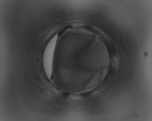 X0000095550763200801041331