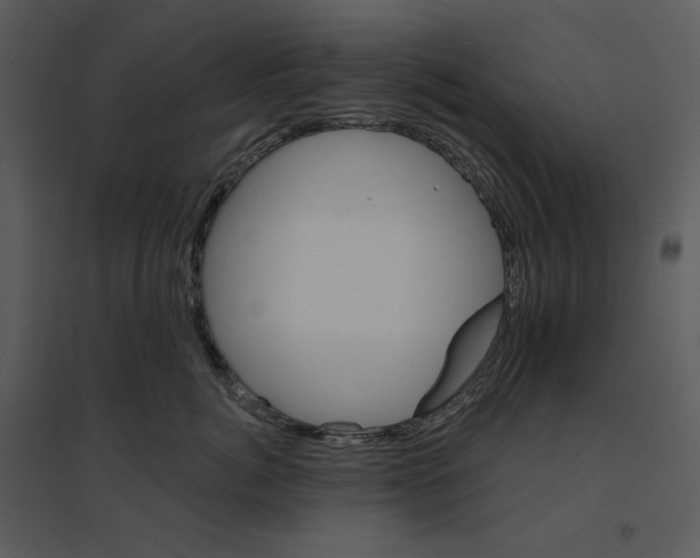 X0000095550764200801041331