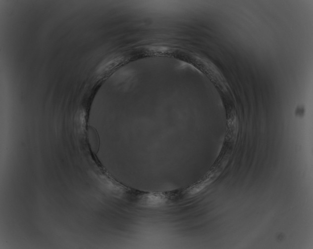 X0000095550765200801041331