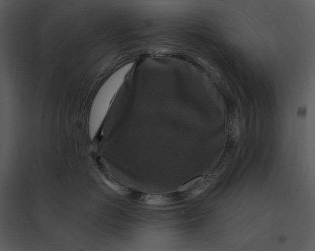 X0000095550766200801041331