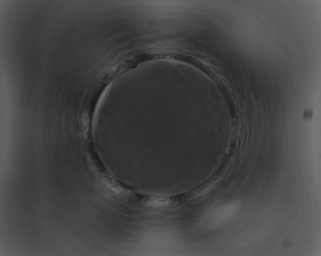 X0000095550767200801041331