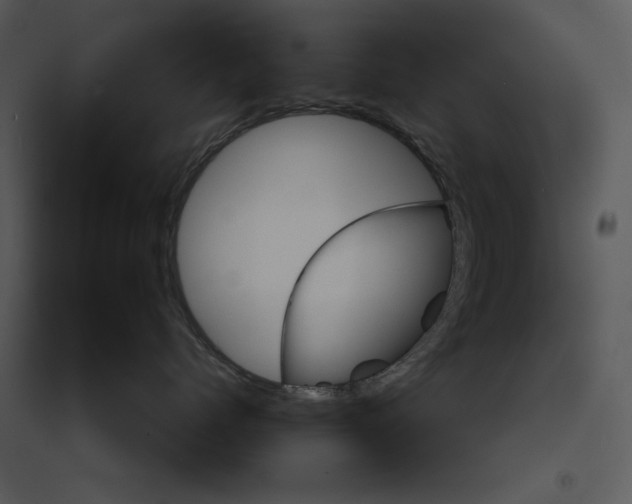 X0000095550768200801041331