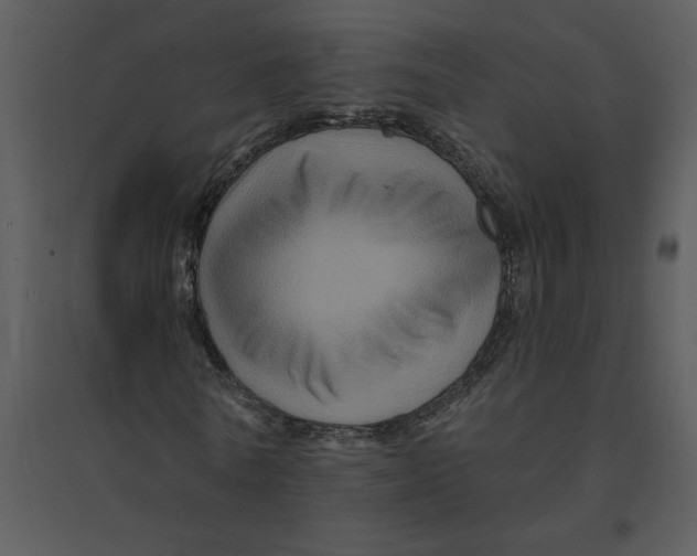 X0000095550770200801041330