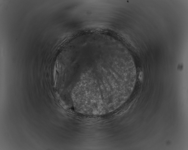 X0000095550771200801041330