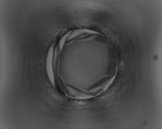 X0000095550772200801041330