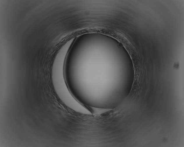 X0000095550773200801041330