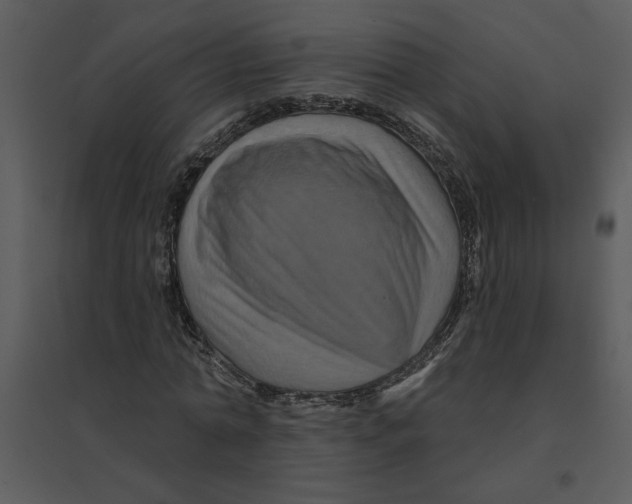 X0000095550774200801041330