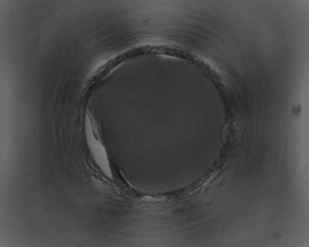 X0000095550775200801041330