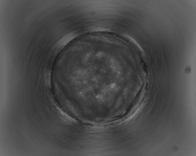 X0000095550777200801041330