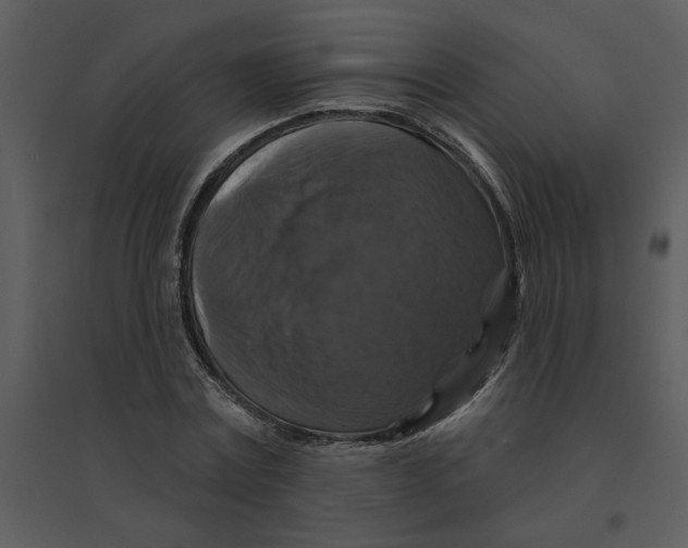 X0000095550779200801041330