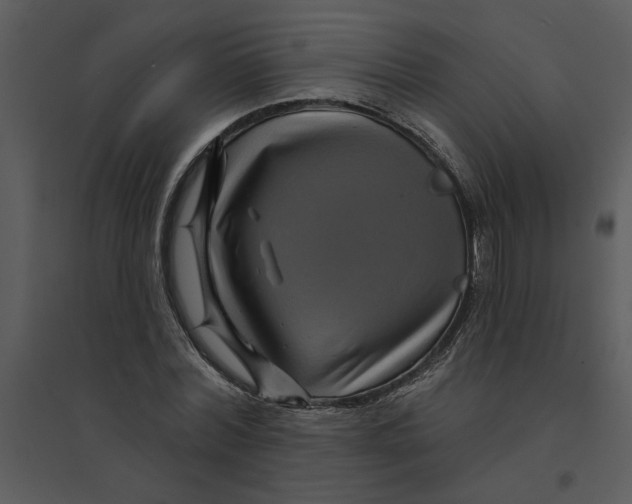 X0000095550780200801041330