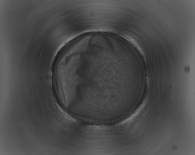 X0000095550781200801041330