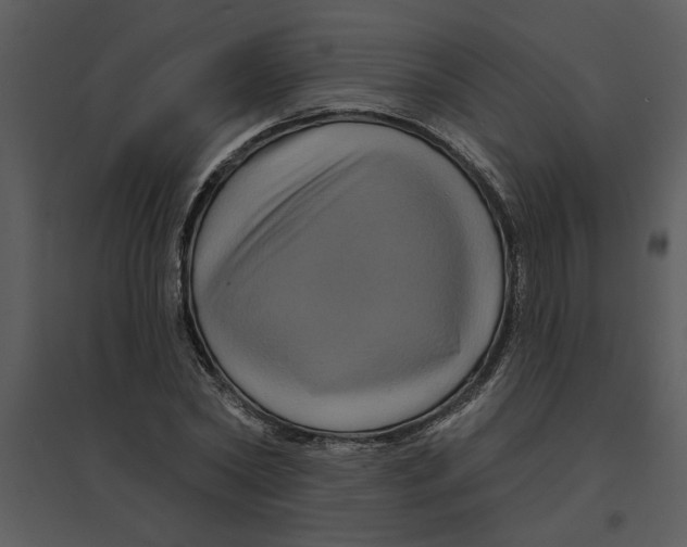 X0000095550782200801041330